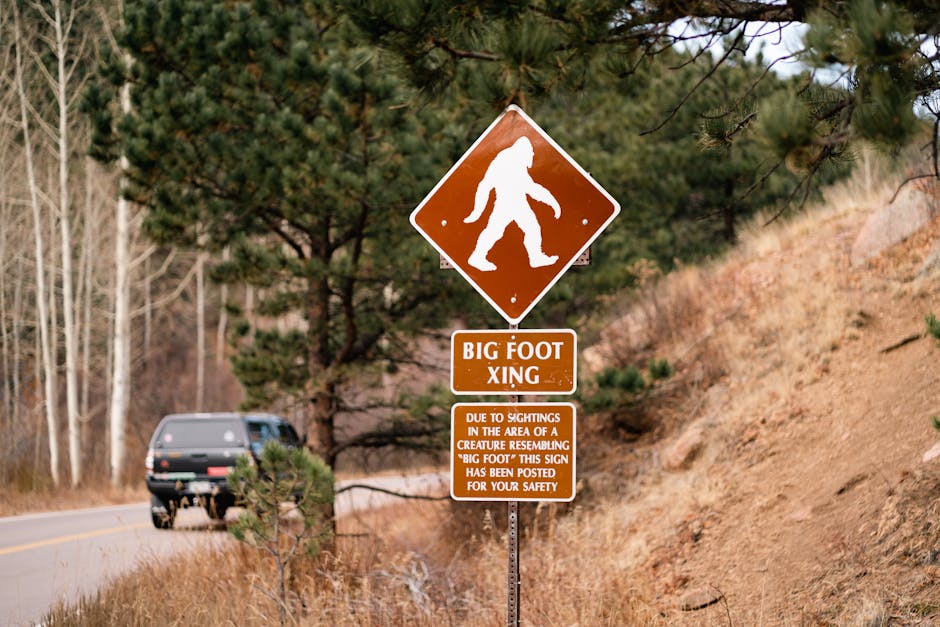 Residents Shocked to Discover Road Signs Speak