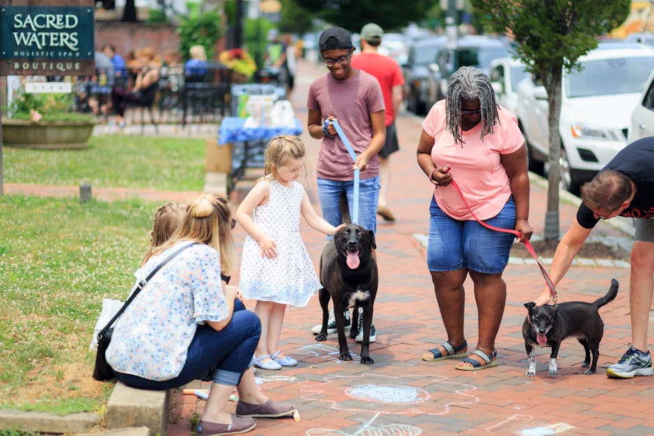 New Law Requires All Dogs to Wear Bowties