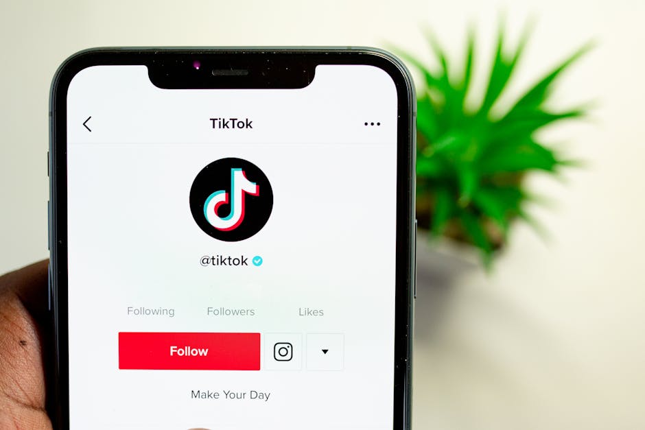Pigeon Becomes Influencer with 10K Followers