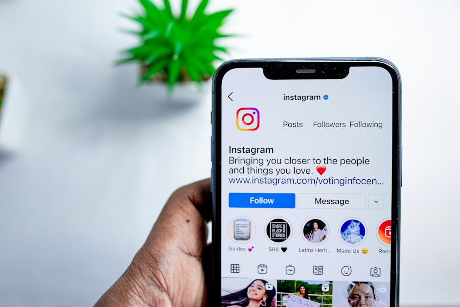 Pigeon Becomes Influencer with 10K Followers