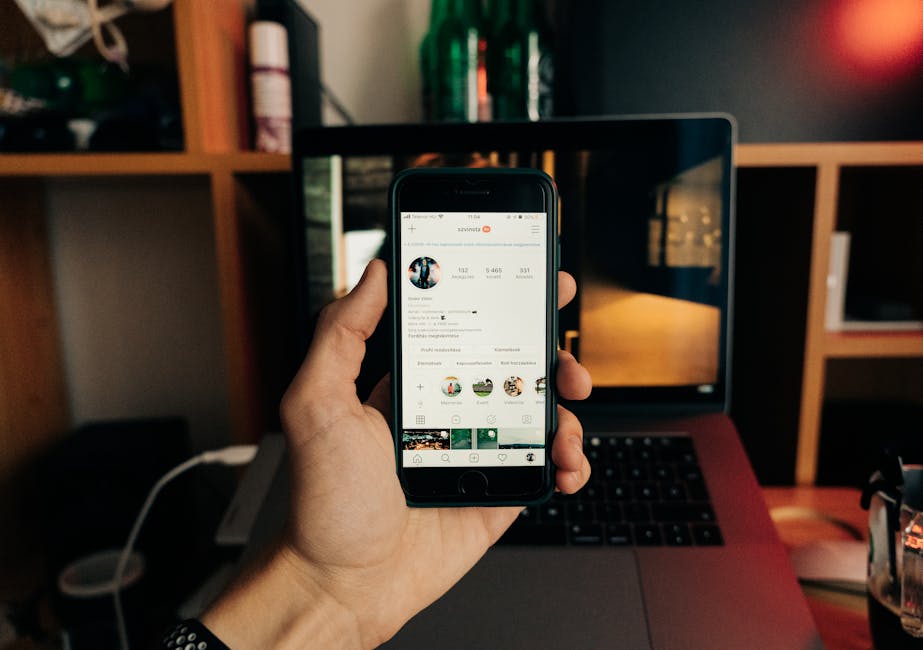 Pigeon Becomes Influencer with 10K Followers